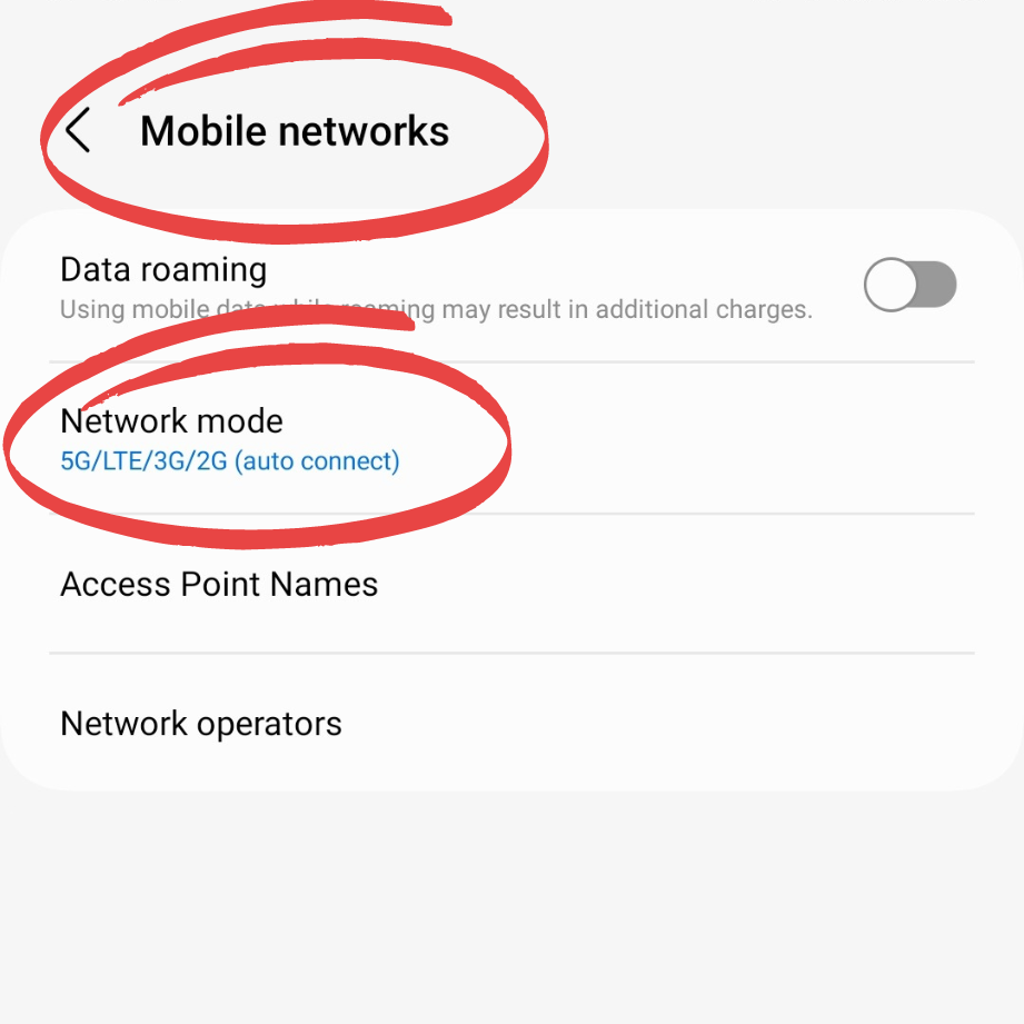 Network Mode