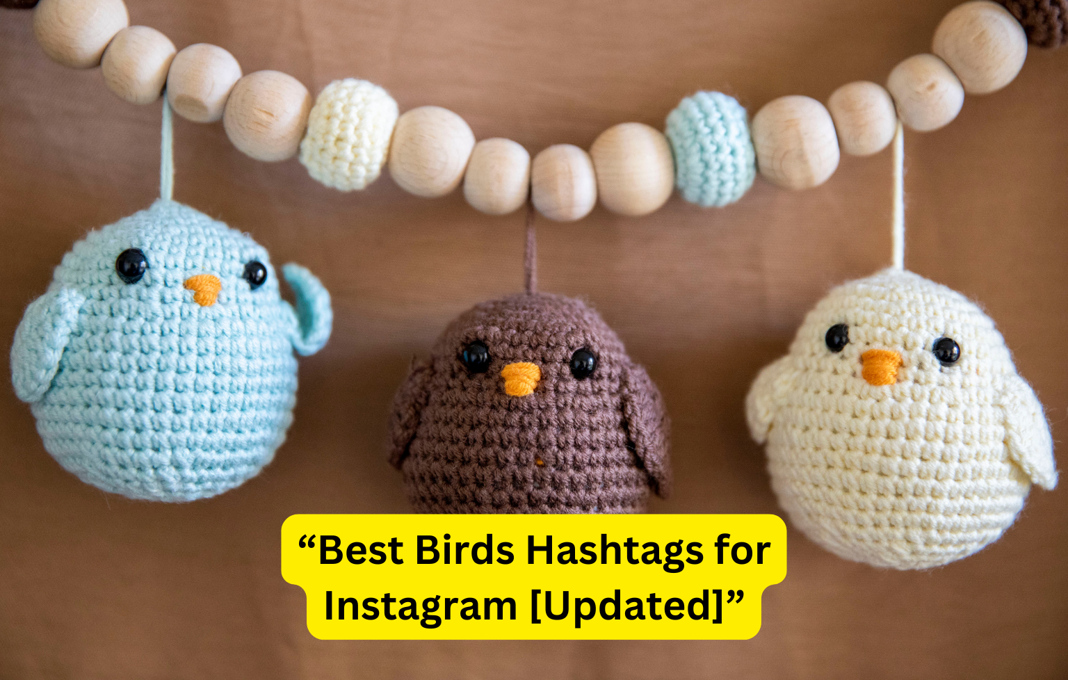 493+ Best Bird Hashtags for Instagram [Updated]